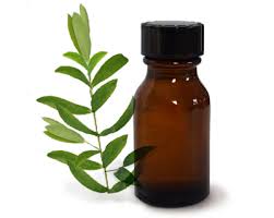 tea tree oil disinfectant