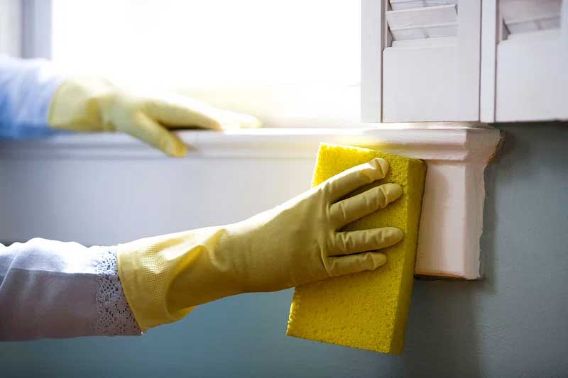 cleaner with gloved hands wiping surface of home